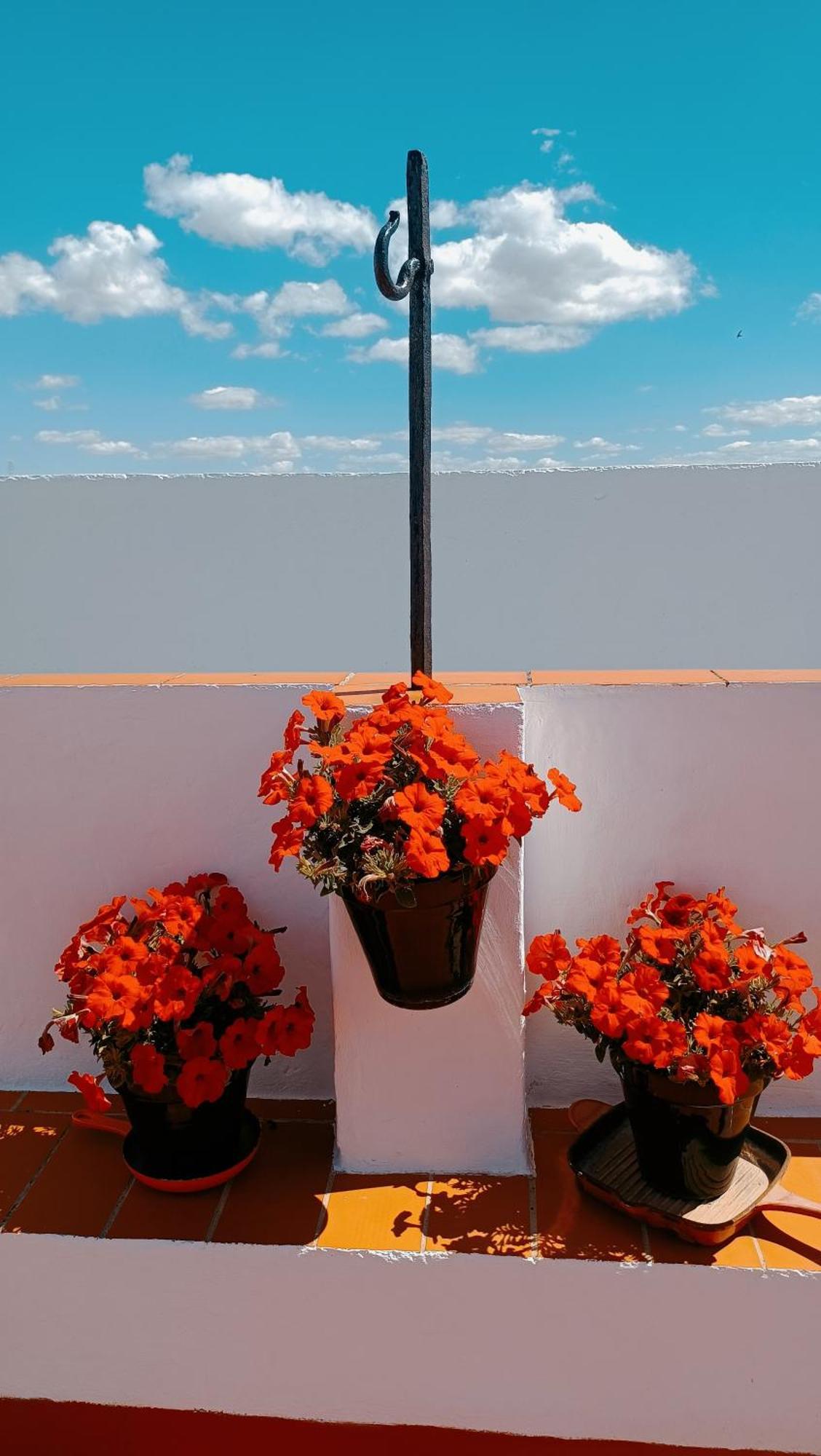Casa Campana Bed and Breakfast Arcos de la Frontera Εξωτερικό φωτογραφία